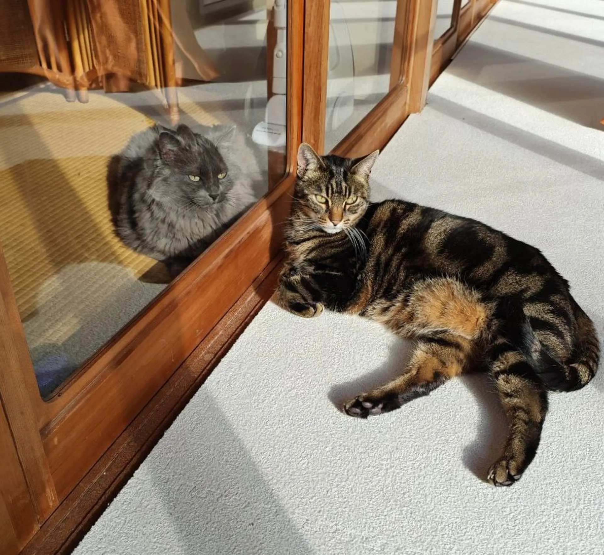 MIWACHO_FARM202512N03